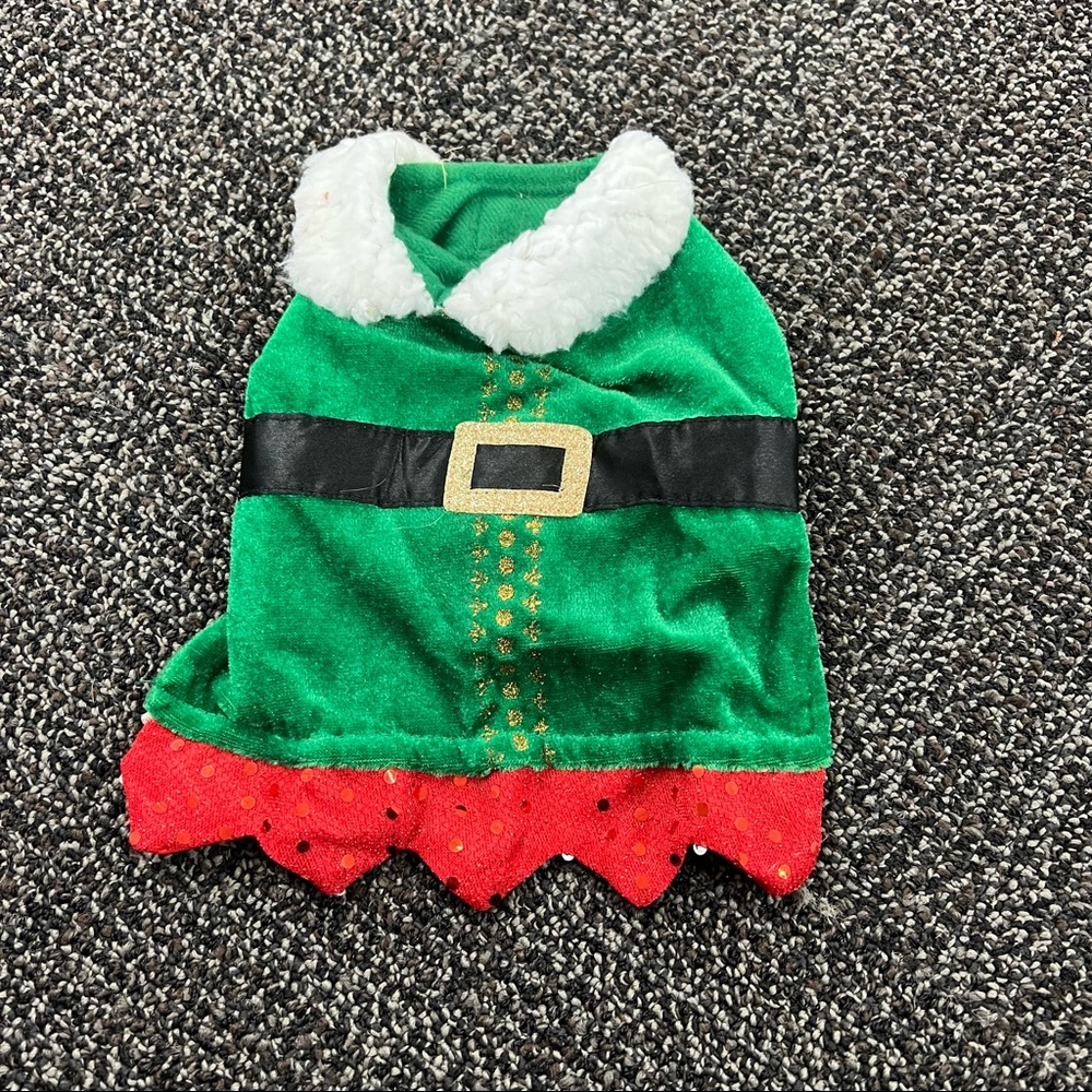 Guinea pig elf costume